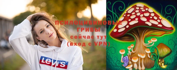 спиды Заволжск