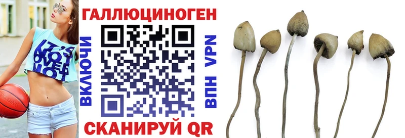 mega ссылка  Элиста  Псилоцибиновые грибы Magic Shrooms 