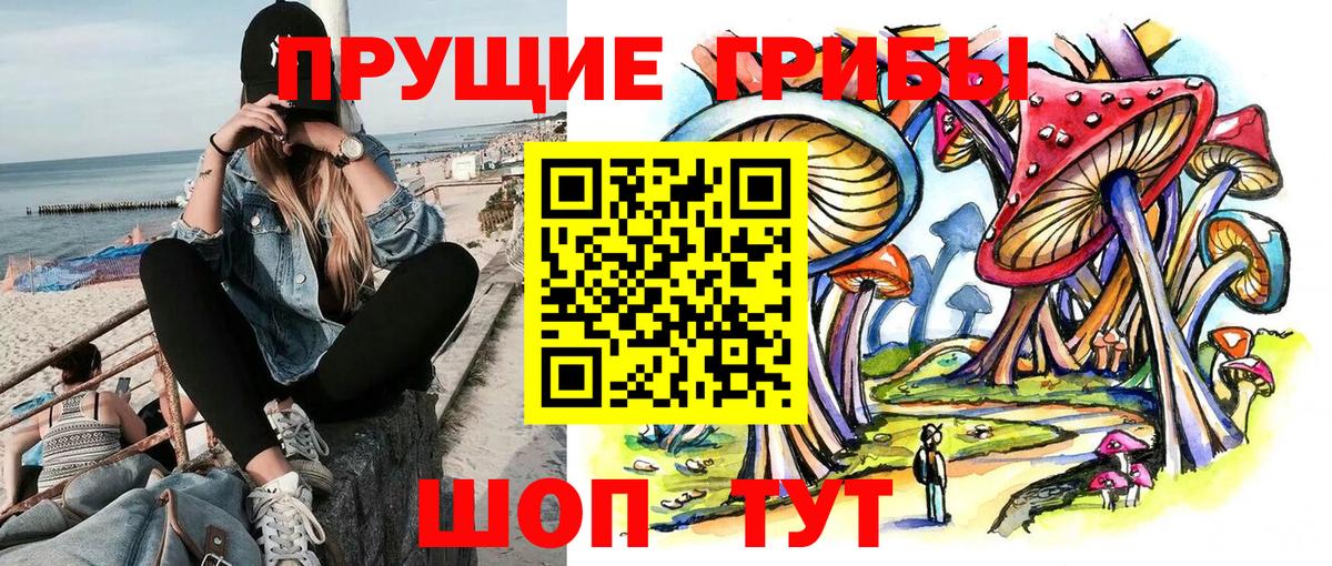 Галлюциногенные грибы Psilocybine cubensis Элиста