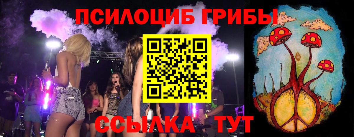 Псилоцибиновые грибы Cubensis  Галлюциногенные грибы MAGIC MUSHROOMS  Вход с VPN  Элиста 