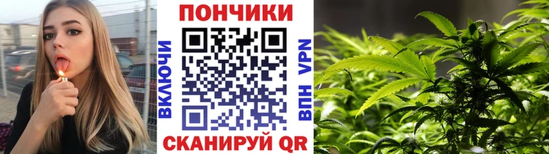 сколько стоит  Элиста  MEGA tor  Конопля OG Kush 